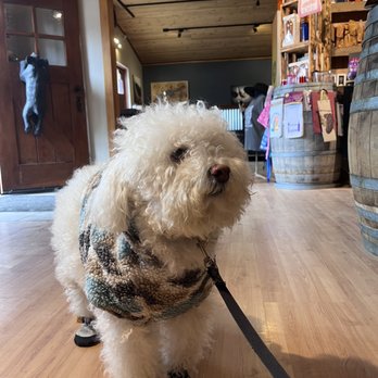 Barrel 33 - Dog friendly! Met so many great people here who also has their pups. - Wine Tasting Room Near Me - Big Bear Lake, California Barrel 33 - Dog friendly! Met so many great people here who also has their pups. - Wine Tasting Room Near Me - Big Bear Lake, California
