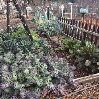 Fair Oaks Horticultural Center - Community garden area - Botanical Gardens Near Me - Fair Oaks, California Fair Oaks Horticultural Center - Community garden area - Botanical Gardens Near Me - Fair Oaks, California