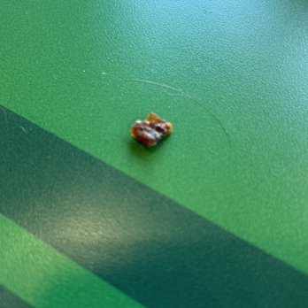 Wingstop - This was in my ranch - Chicken Wings Near Me - Cedar Park, Texas