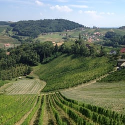 Weingut Maitz