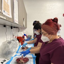 California Institute of Medical Science - Taking a closer look on the heart