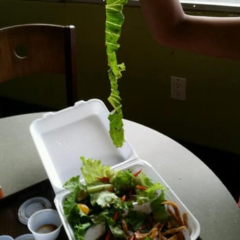 Tex Drive In - Supposed to be Chinese chicken salad??? - Fast Food Near Me - Honokaa, Hawaii Tex Drive In - Supposed to be Chinese chicken salad??? - Fast Food Near Me - Honokaa, Hawaii