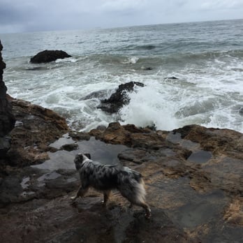 Point Dume State Beach - Beaches Near Me - Malibu, California