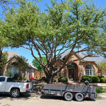 Ramos Tree Service - Tree Services Near Me - Dallas, Texas Ramos Tree Service - Tree Services Near Me - Dallas, Texas