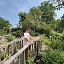 Masterson's Garden Center & Aquatic Nursery