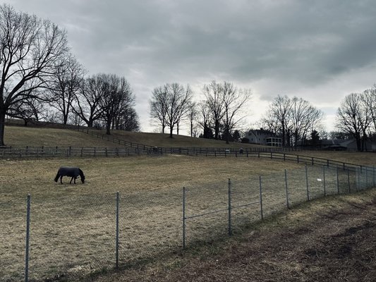 Rockefeller State Park Preserve by null