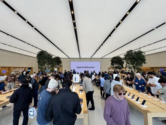 Apple Domain Northside - Updated July 2026 - 149 Photos & 560 Reviews ...