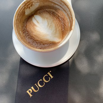 PUCCI Café - Pet Stores Near Me - Katy, Texas PUCCI Café - Pet Stores Near Me - Katy, Texas