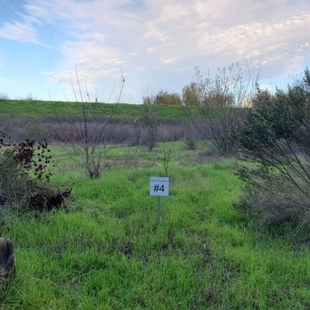 Ulistac Natural Area - Bird survey station - Parks Near Me - Santa Clara, California