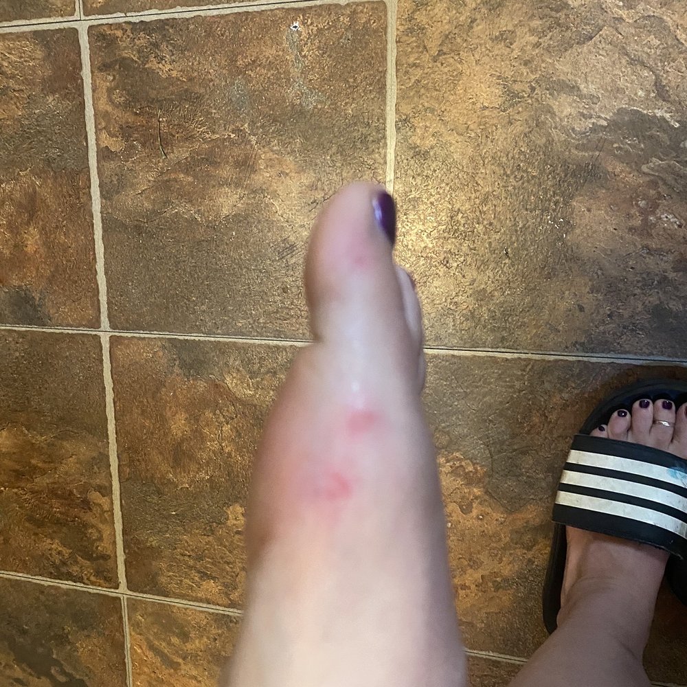 Glitter Nail Salon - Rug burn - Nail Salons Near Me - Oak Park, Illinois Glitter Nail Salon - Rug burn - Nail Salons Near Me - Oak Park, Illinois