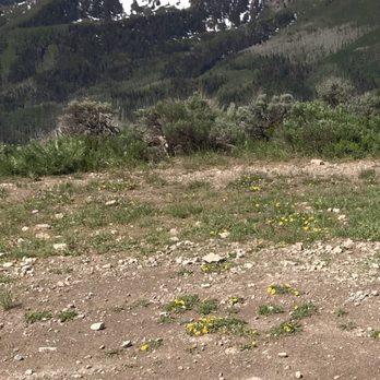 Lofty Peaks Adventures - ATV Rentals/Tours Near Me - Heber City, Utah Lofty Peaks Adventures - ATV Rentals/Tours Near Me - Heber City, Utah