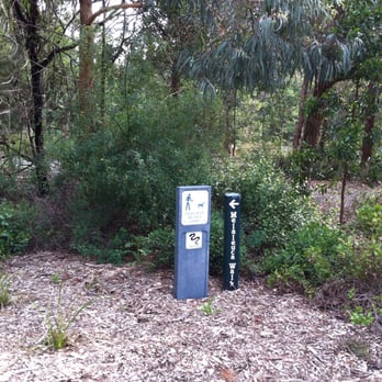 Blackburn Lake Sanctuary - Parks Near Me - Blackburn, VIC