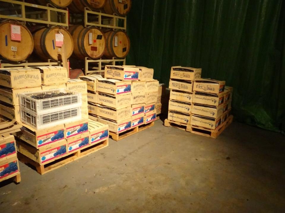 The Wine Press - vineyard in North Haven, CT