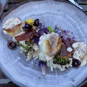 Photo of Barking Frog - Woodinville, WA, United States. Scallops