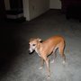 Photo of Nanny Dolittle