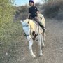 Photo of Julie Picot Horse Training