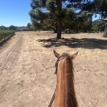 Sonoma Valley Trail Rides - Horseback Riding Near Me - Sonoma, California Sonoma Valley Trail Rides - Horseback Riding Near Me - Sonoma, California