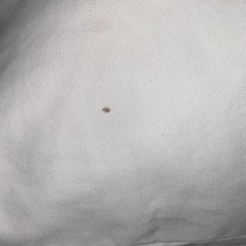 Hyatt Place Riverside/Downtown - Bed bug room 225 - Hotels Near Me - Riverside, California