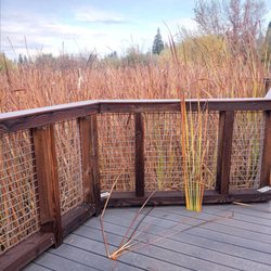 Folsom Lake College - Campus walking trails
