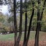 Photo of Leopoldpark