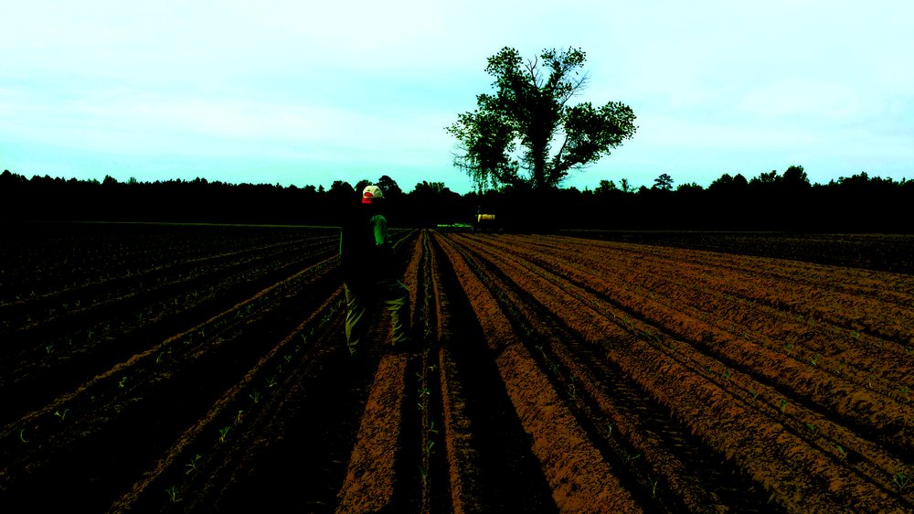 SCOTT FARMS 7965 Simpson Rd, Lucama, North Carolina Ranches Phone