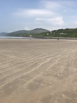 Sammy's Restaurant and Beach Bar by null