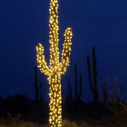Christmas Decor