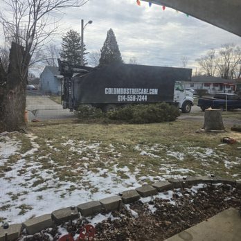 Columbus Tree Care - Tree Services Near Me Columbus Tree Care - Tree Services Near Me