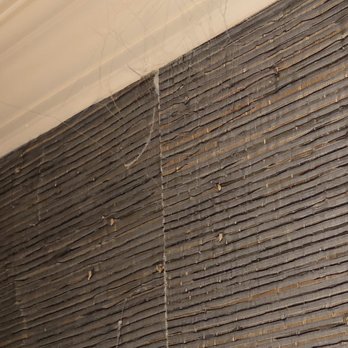 The Whitehall Hotel - Spider webs - Hotels Near Me - Chicago, Illinois