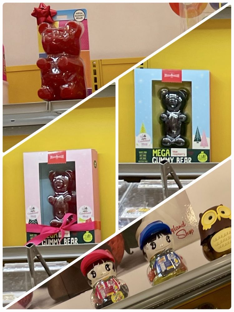 CANDYLAND SHOP Updated October 2024 28 Photos & 32 Reviews 251