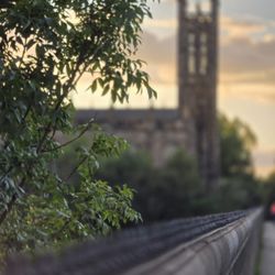 The Water of Leith