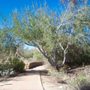 Photo of Friends of the Desert Mountains