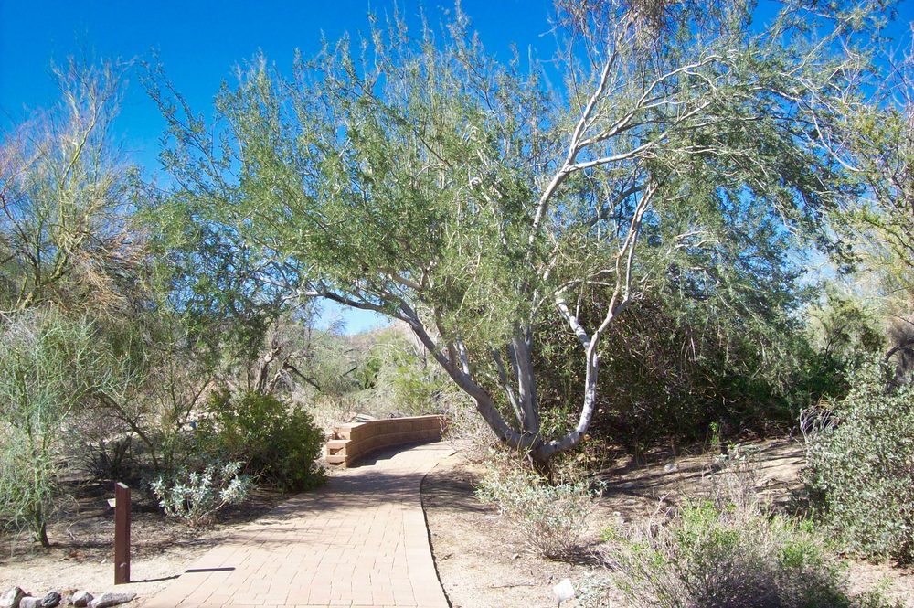 Friends of the Desert Mountains - social services organization in Palm Desert, CA