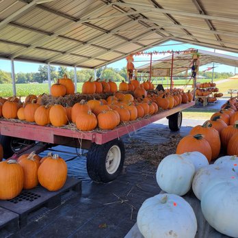 Crowder Farms - Farms Near Me - Mechanicsville, Virginia Crowder Farms - Farms Near Me - Mechanicsville, Virginia
