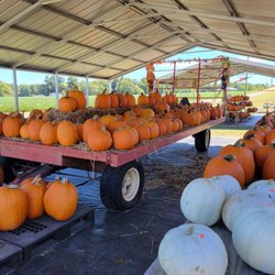 Crowder Farms