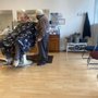 Photo of Mhg Barber Shop