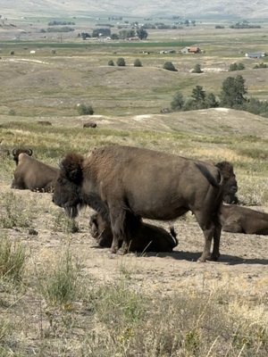 Garden Wall Inn by null