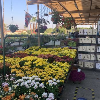 Armstrong Garden Centers - Nurseries & Gardening Near Me - Los Angeles, California Armstrong Garden Centers - Nurseries & Gardening Near Me - Los Angeles, California