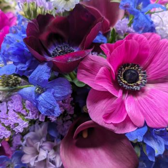 Kendall Flower Shop - Nurseries & Gardening Near Me - Cambridge, Massachusetts