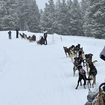 Jackson Hole Iditarod Sled Dog Tours - Tours Near Me - Jackson, Wyoming