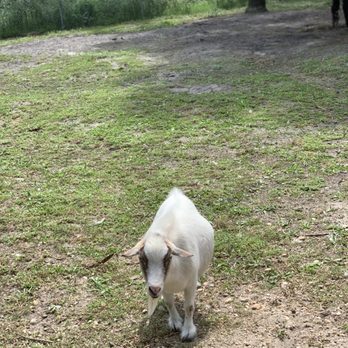 Popcorn Park Zoo - Zoos Near Me - Forked River, New Jersey