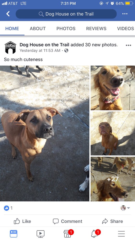 Dog House On the Trail - pet boarding facility in Dallas, TX