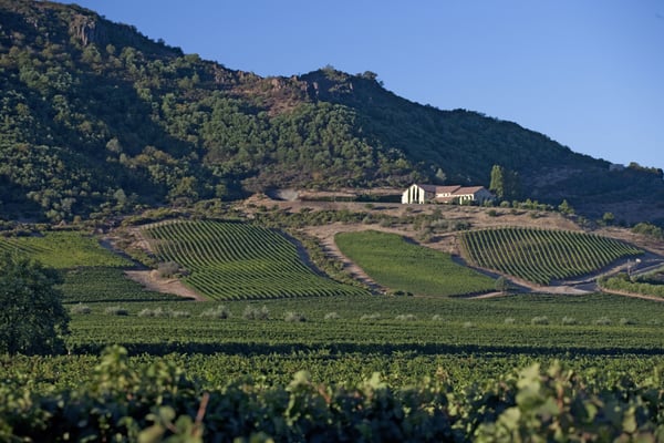 Antinori Napa Valley by null
