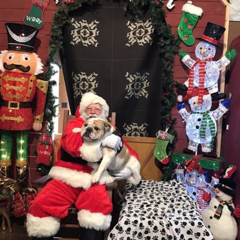 Hammers Healthy Hounds - Baymax met Santa today! Pictures with Santa every Saturday until Christmas. Call the store for hours. - Pet Stores Near Me - Sparks, Nevada