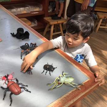 Kidspace Children's Museum - Bugs! - Children's Museums Near Me - Pasadena, California
