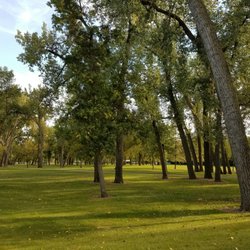 Sertoma Park - Treeeeees