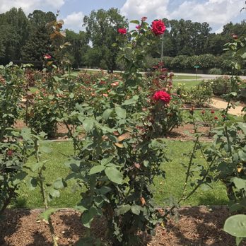 Thomasville Rose Garden - Community Gardens Near Me - Thomasville, Georgia