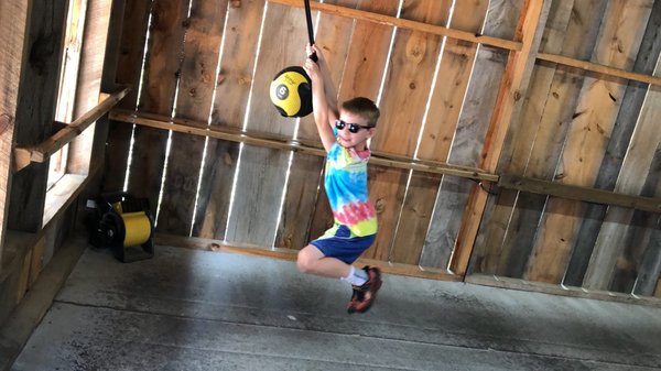 Cosmos Mystery Area by null