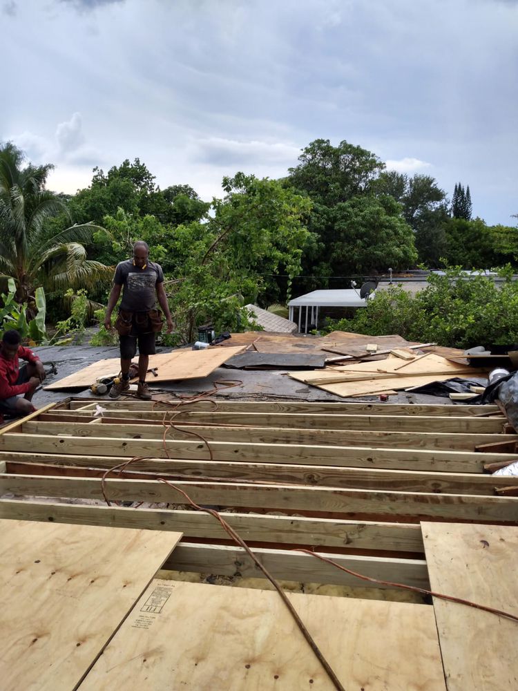 Slide of Tree Of The World Roofing