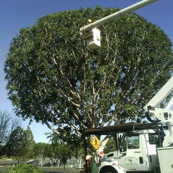 Quezada Pro Landscape - Quezada Pro Landscaping - Landscaping Near Me - Anaheim, California Quezada Pro Landscape - Quezada Pro Landscaping - Landscaping Near Me - Anaheim, California